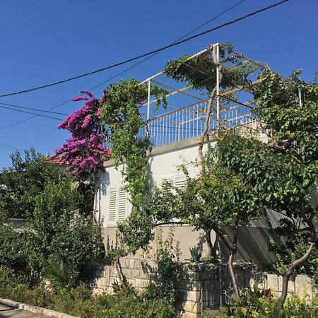Domuskova Apartman Podstrana Kültér fotó